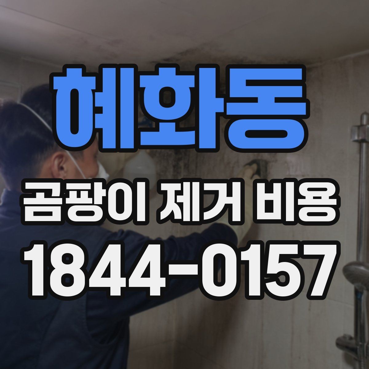혜화동 곰팡이 제거 비용 계약 전에 확인할 체크리스트