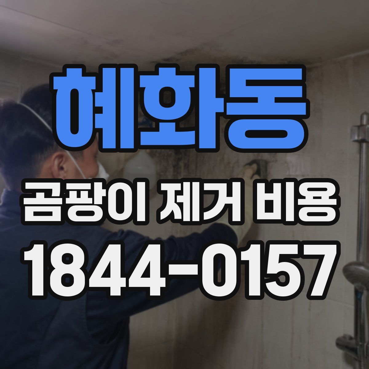 혜화동 곰팡이 제거 비용