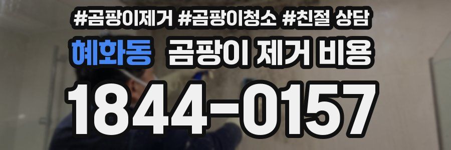 혜화동 곰팡이 제거 비용