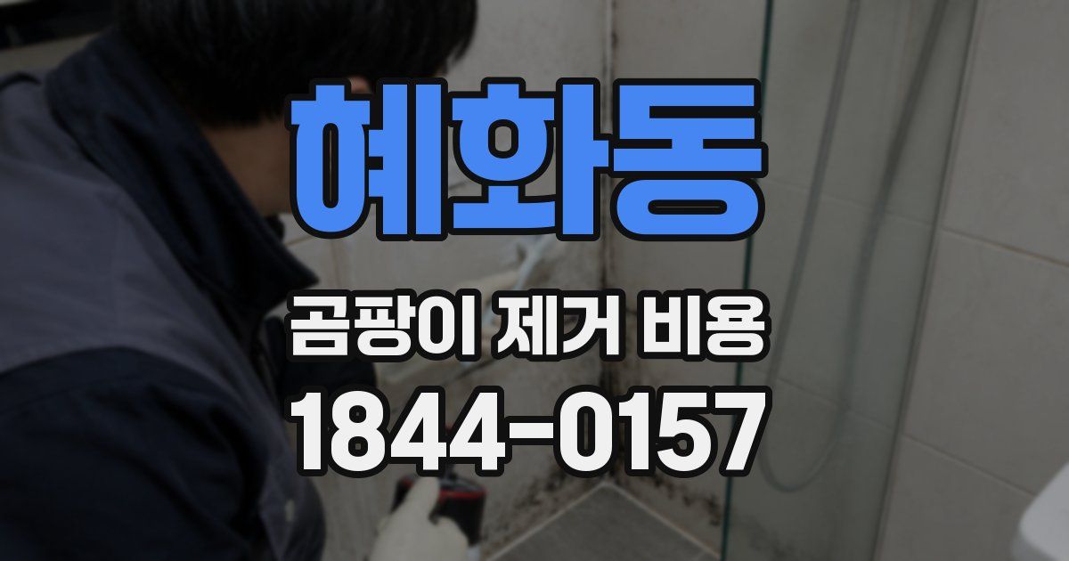 혜화동 곰팡이 제거 비용