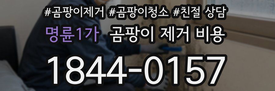 명륜1가 곰팡이 제거 비용