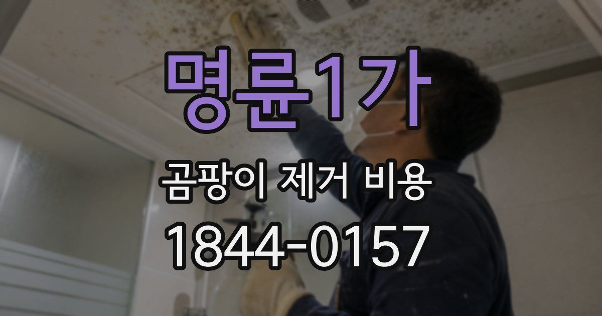명륜1가 곰팡이 제거 비용