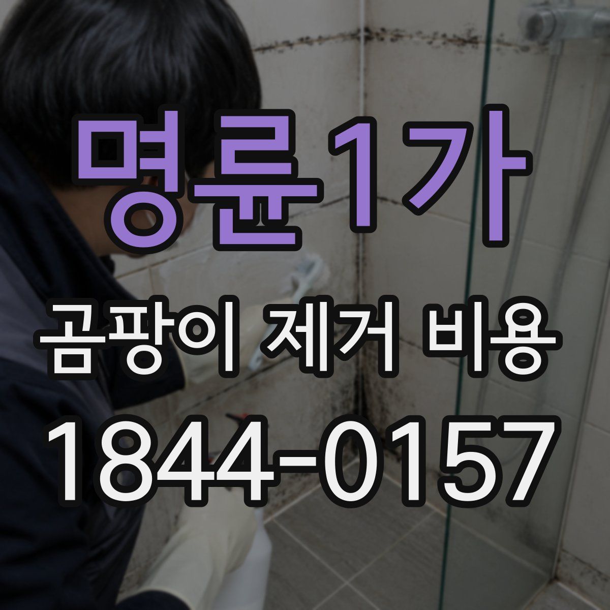 명륜1가 곰팡이 제거 비용
