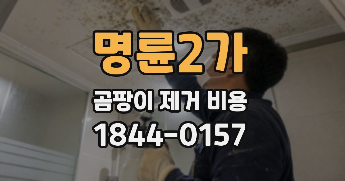 명륜2가 곰팡이 제거 비용