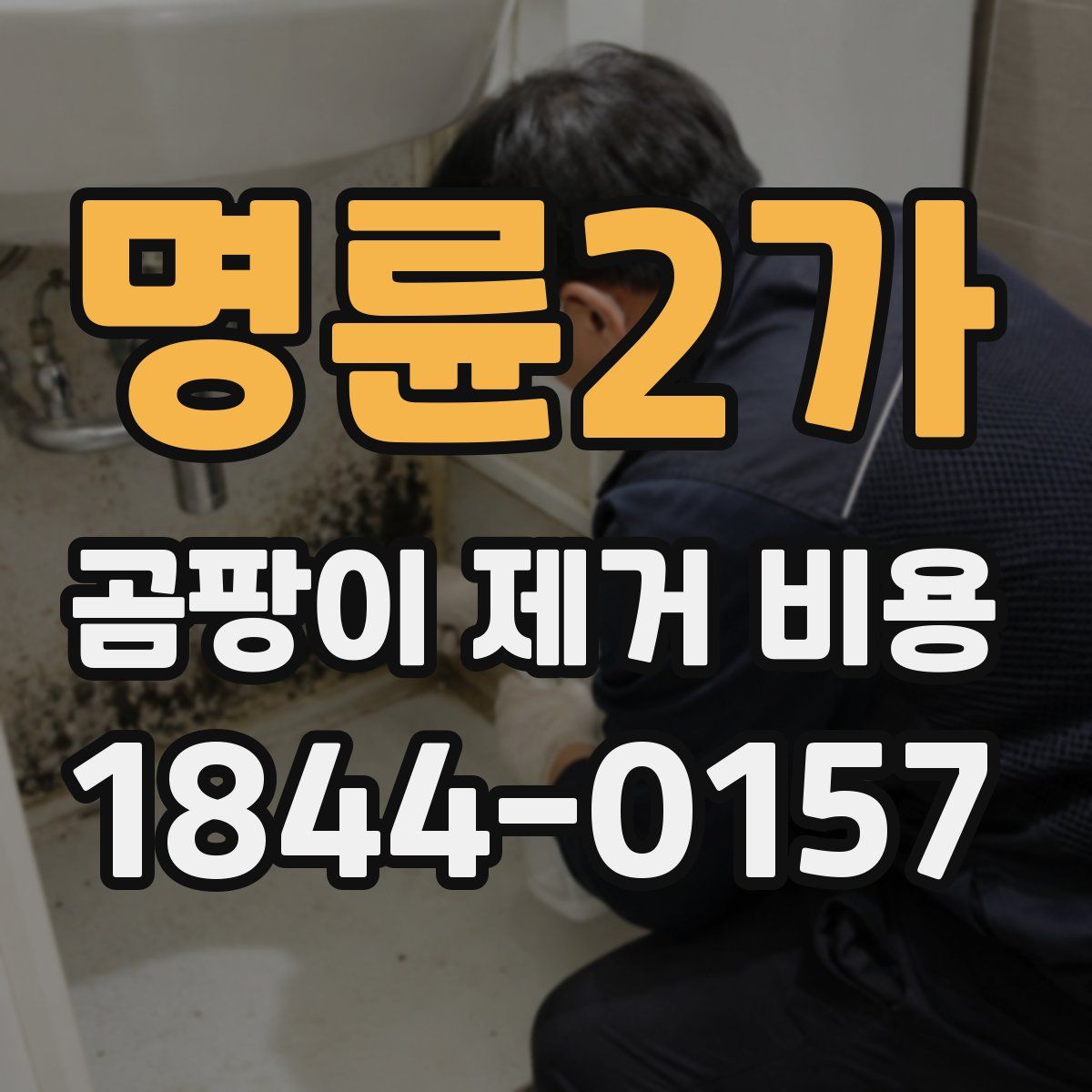 명륜2가 곰팡이 제거 비용
