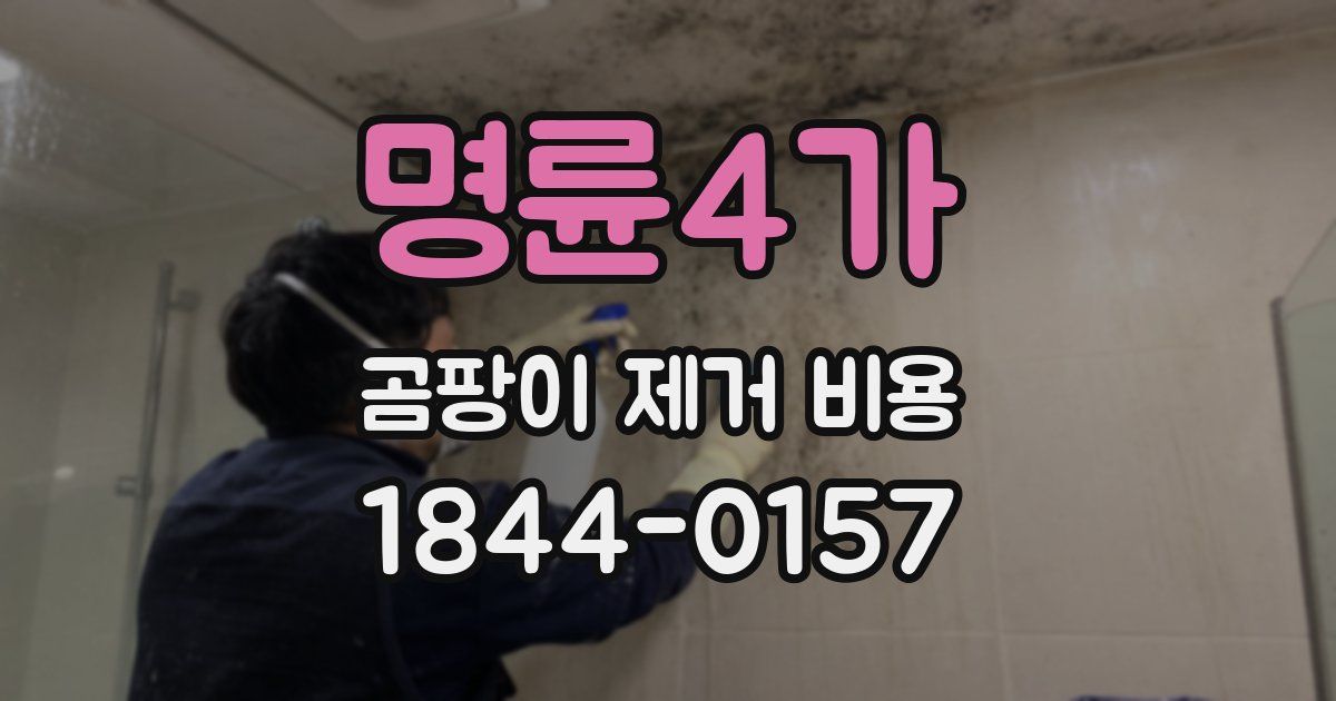 명륜4가 곰팡이 제거 비용