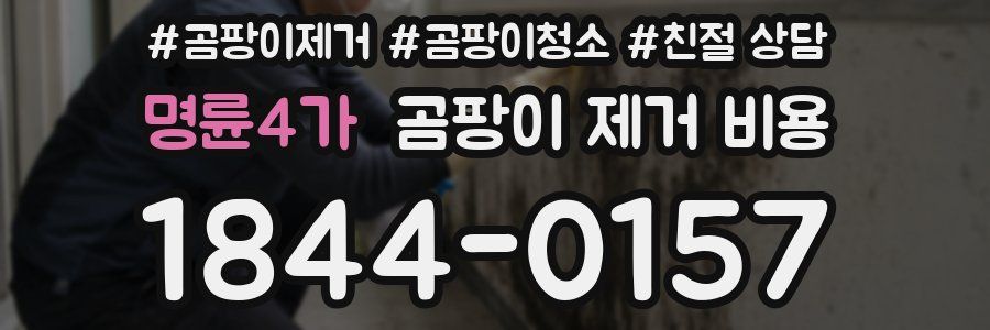 명륜4가 곰팡이 제거 비용
