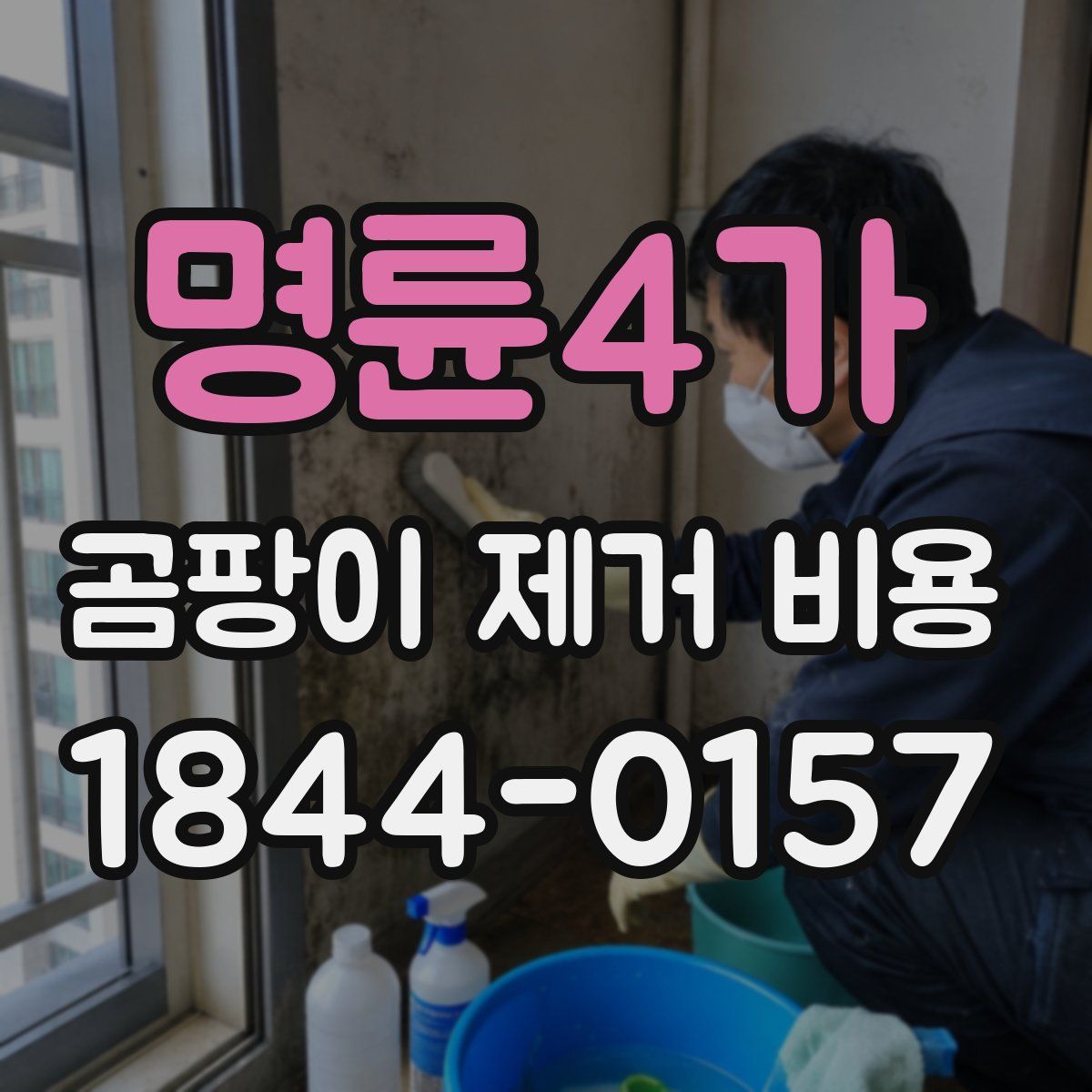 명륜4가 곰팡이 제거 비용