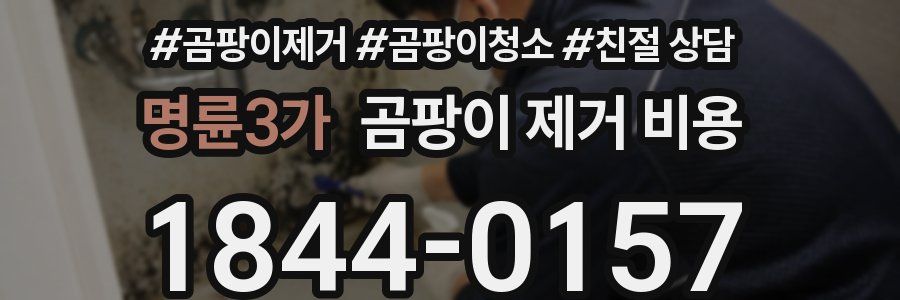 명륜3가 곰팡이 제거 비용
