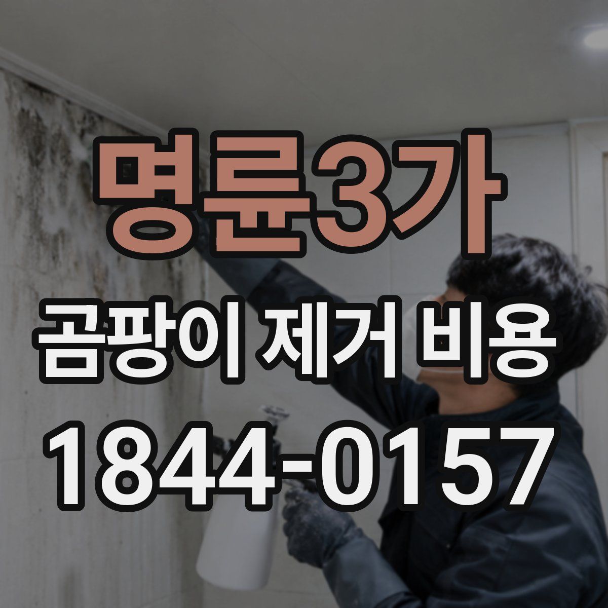 명륜3가 곰팡이 제거 비용