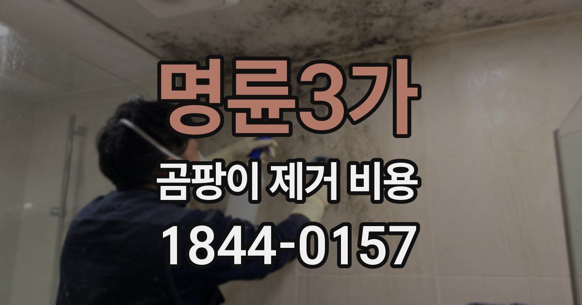 명륜3가 곰팡이 제거 비용