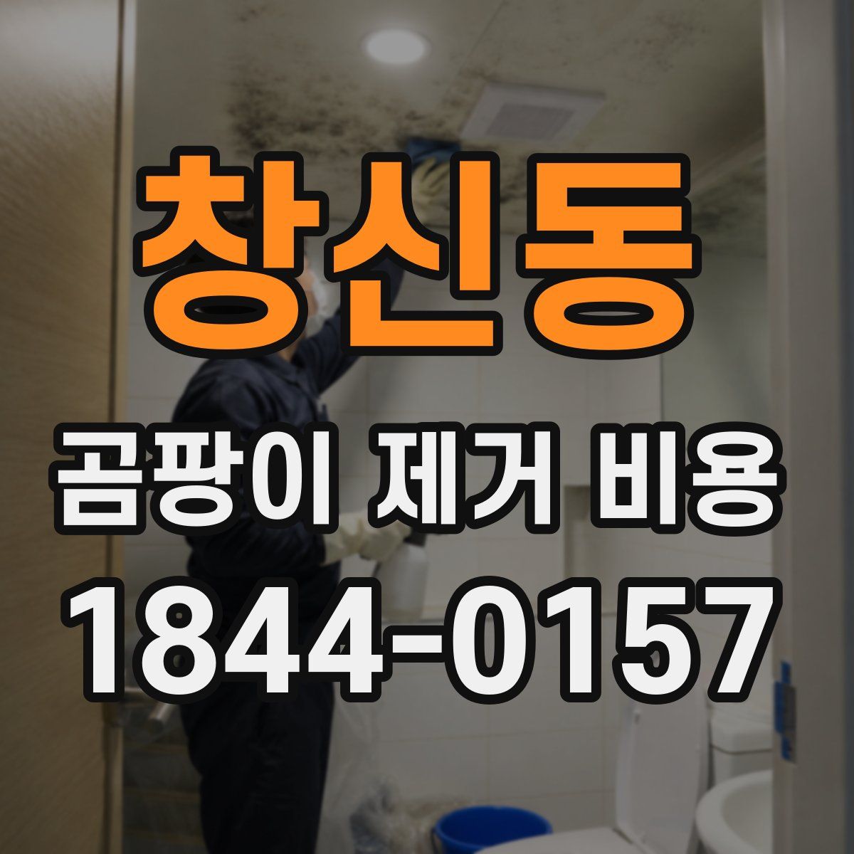 창신동 곰팡이 제거 비용
