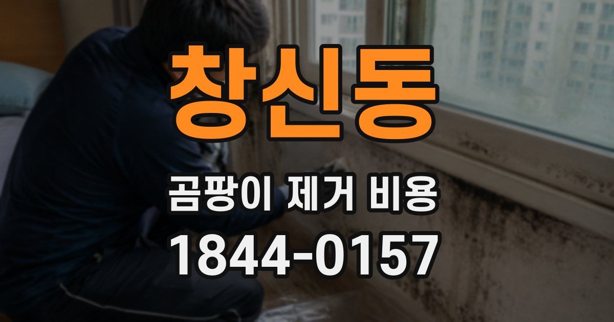창신동 곰팡이 제거 비용