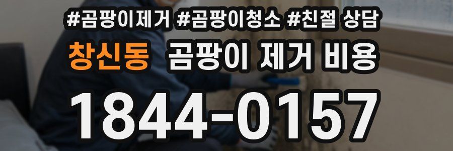 창신동 곰팡이 제거 비용