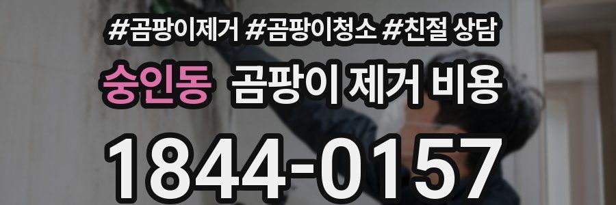 숭인동 곰팡이 제거 비용