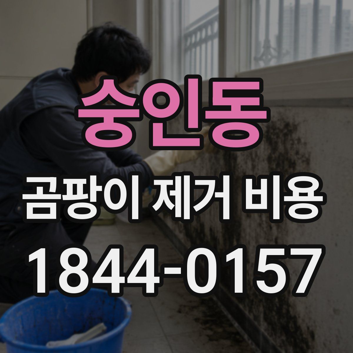 숭인동 곰팡이 제거 비용