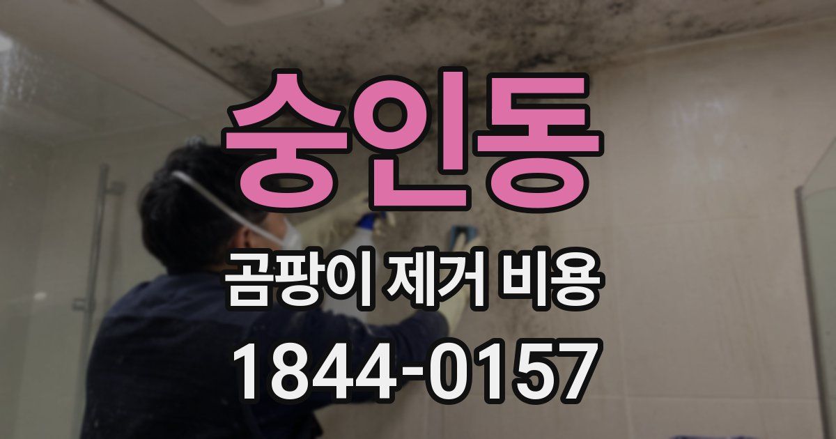 숭인동 곰팡이 제거 비용