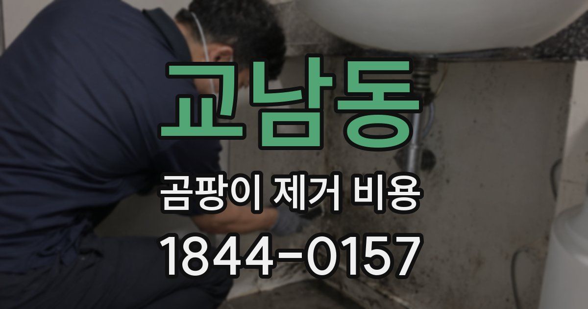 교남동 곰팡이 제거 비용