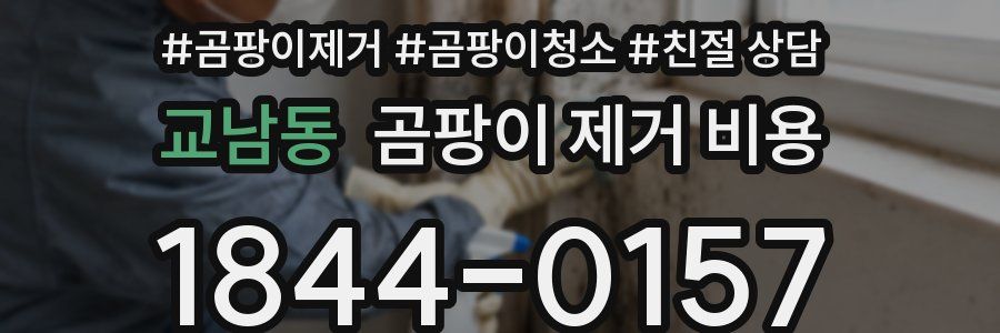 교남동 곰팡이 제거 비용