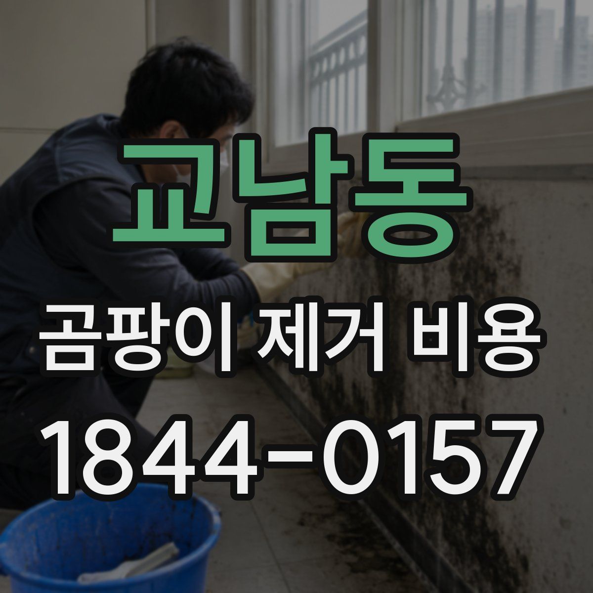 교남동 곰팡이 제거 비용