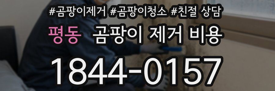 평동 곰팡이 제거 비용