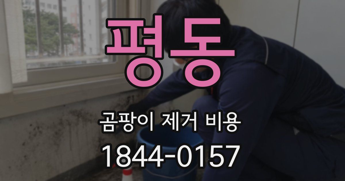 평동 곰팡이 제거 비용