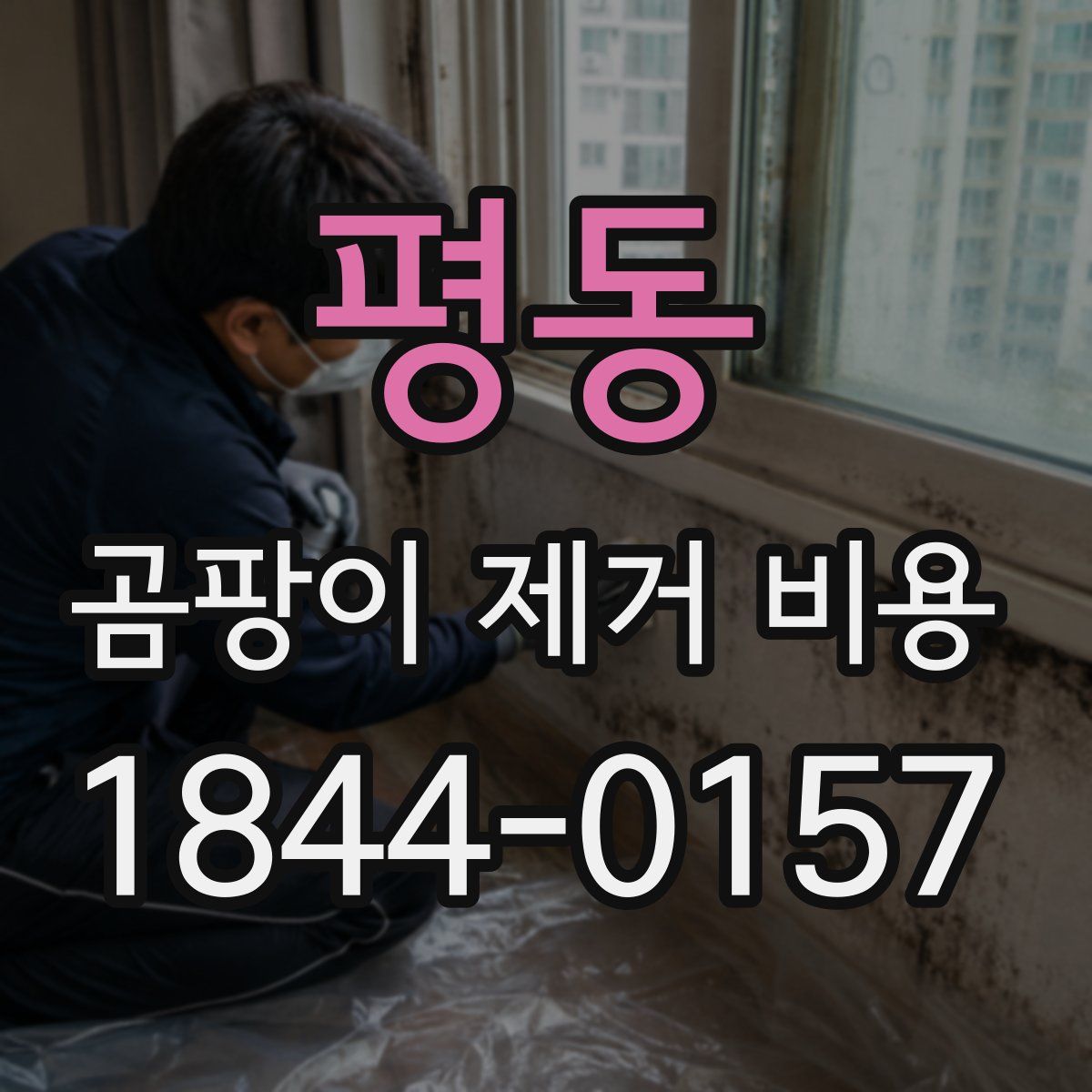 평동 곰팡이 제거 비용