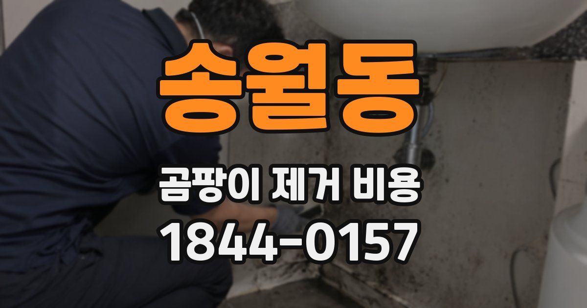 송월동 곰팡이 제거 비용