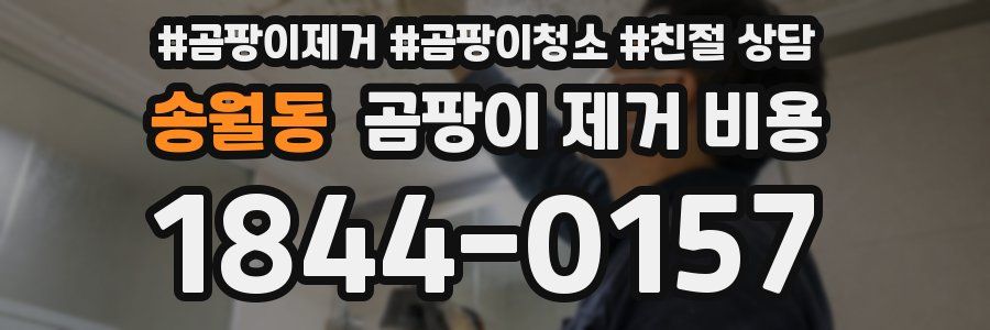 송월동 곰팡이 제거 비용