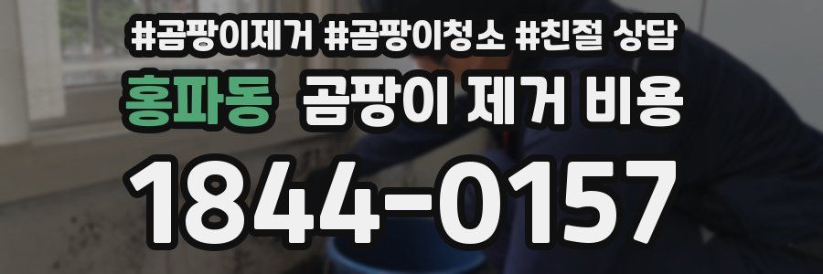 홍파동 곰팡이 제거 비용