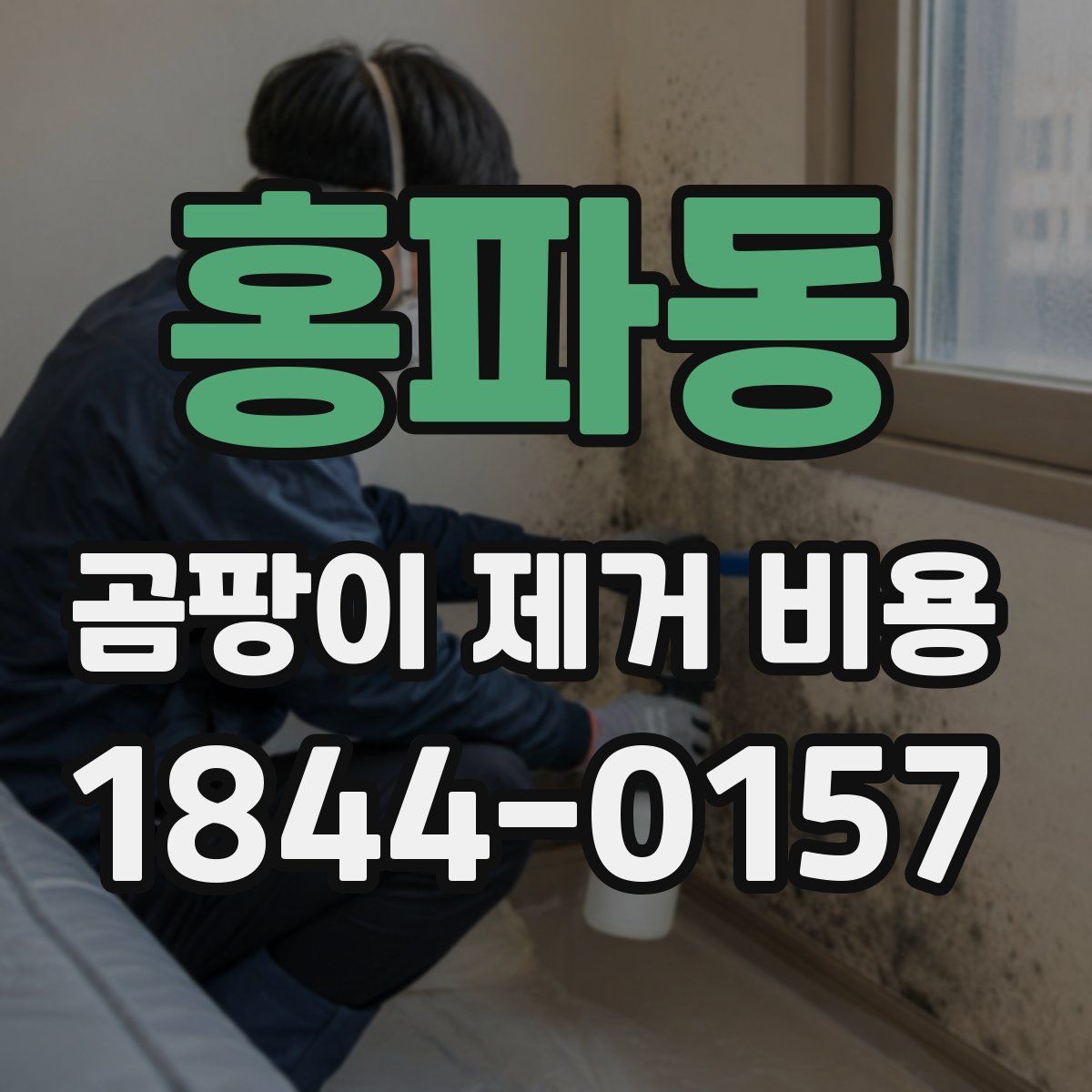 홍파동 곰팡이 제거 비용