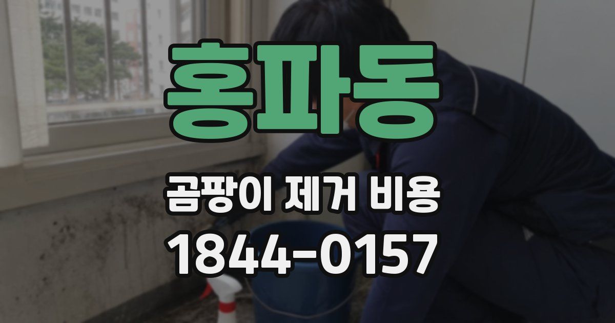 홍파동 곰팡이 제거 비용