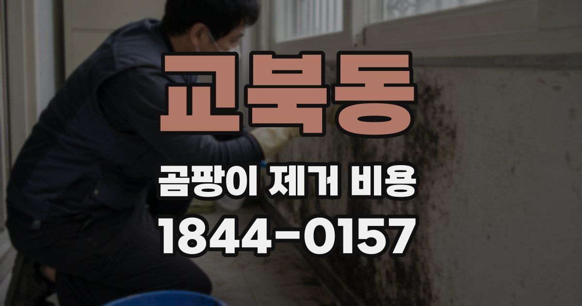 교북동 곰팡이 제거 비용