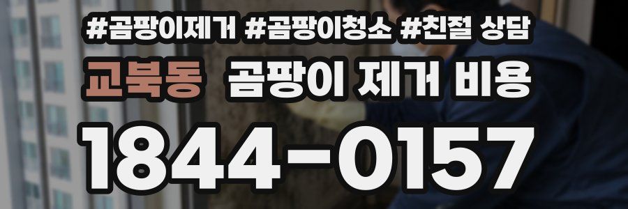 교북동 곰팡이 제거 비용