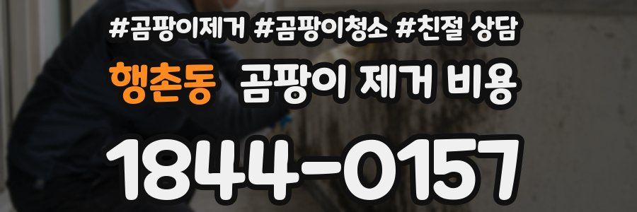행촌동 곰팡이 제거 비용