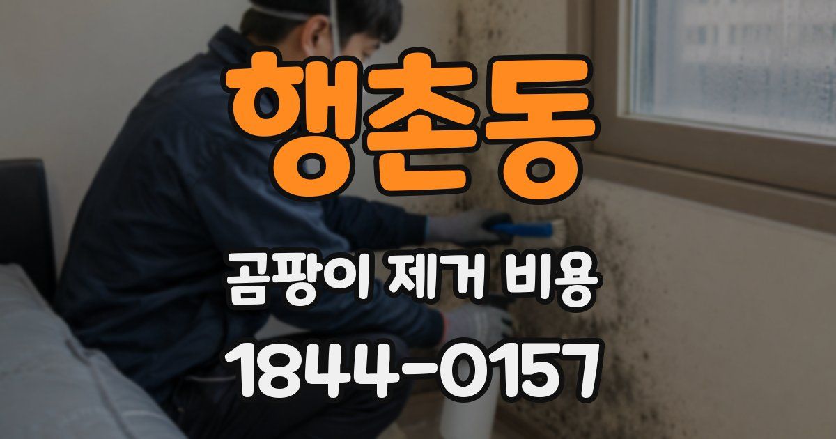 행촌동 곰팡이 제거 비용