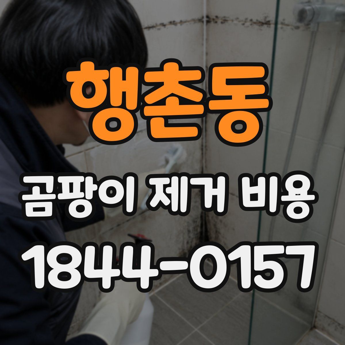 행촌동 곰팡이 제거 비용