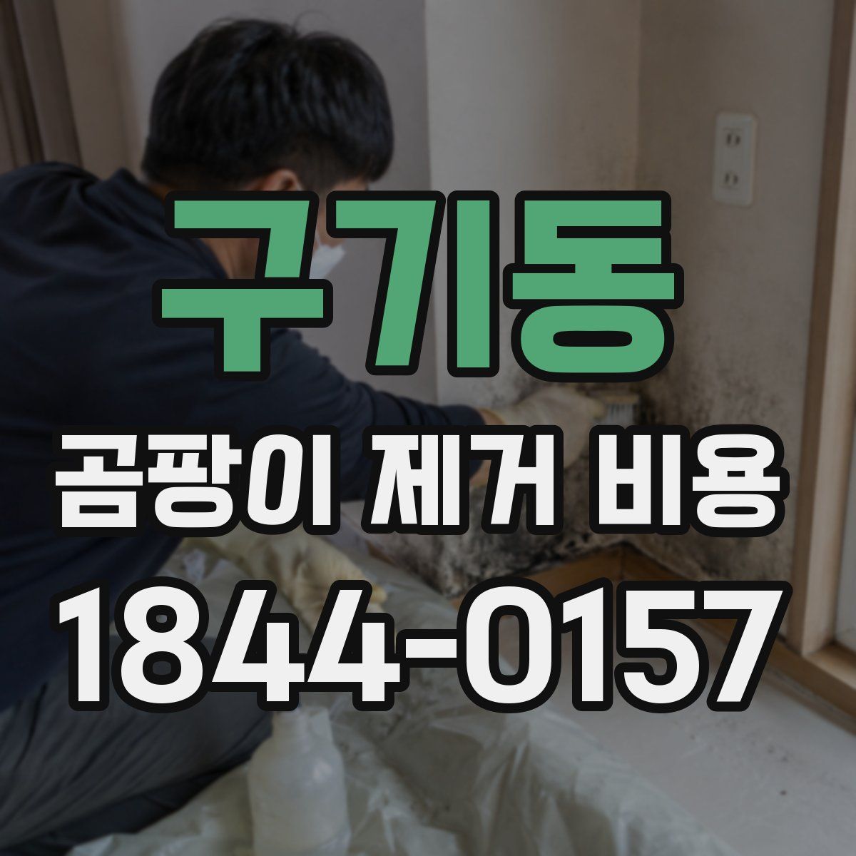 구기동 곰팡이 제거 비용