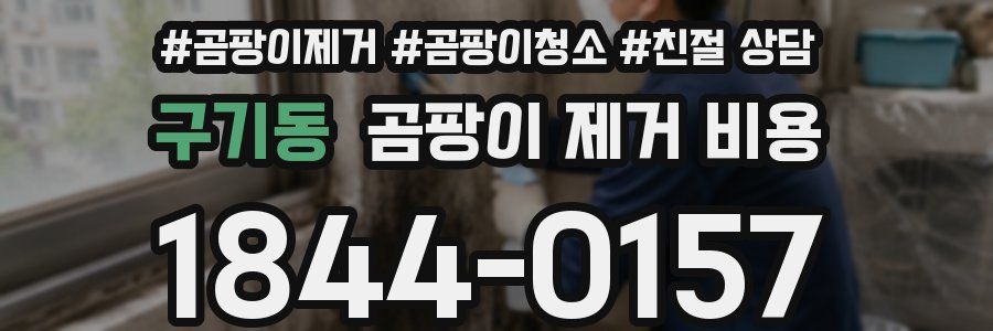 구기동 곰팡이 제거 비용