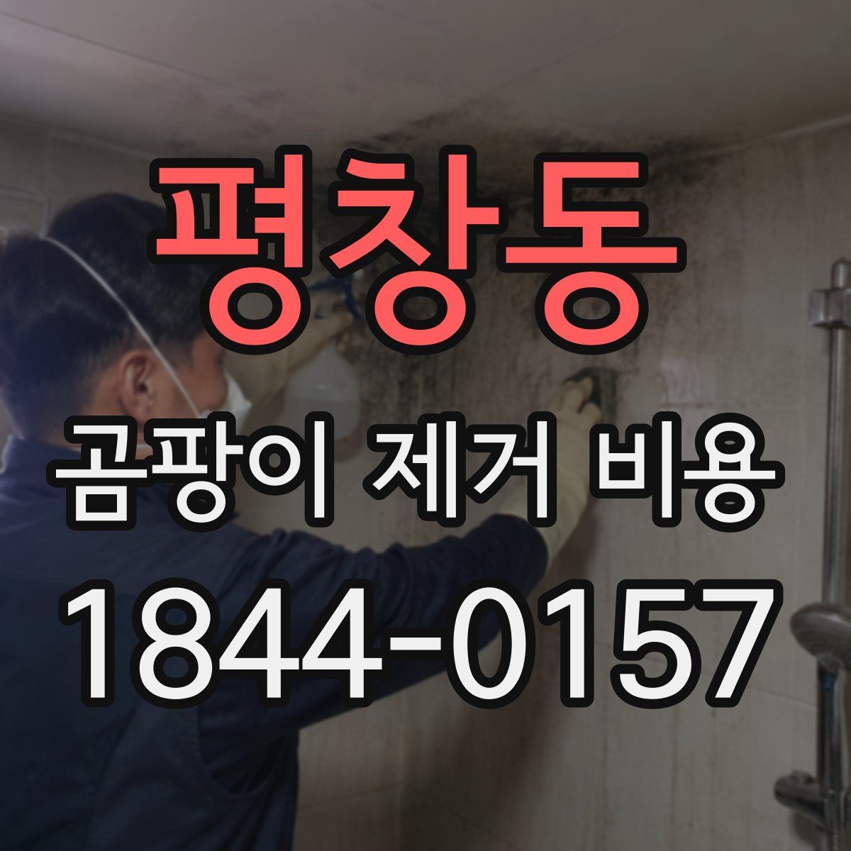 평창동 곰팡이 제거 비용