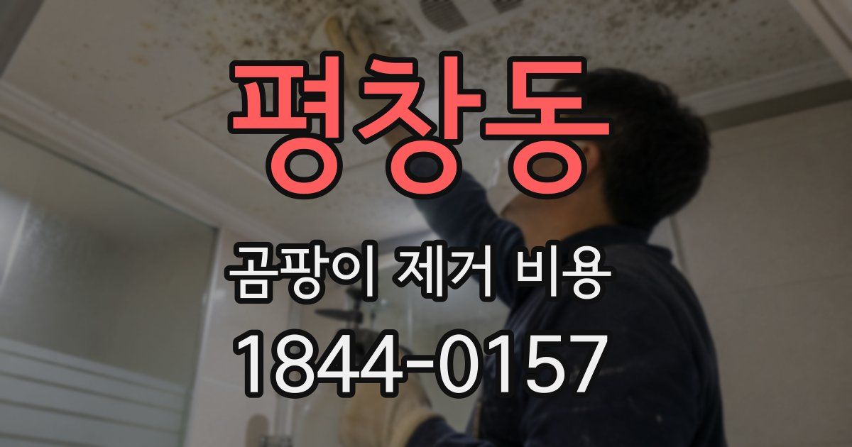 평창동 곰팡이 제거 비용