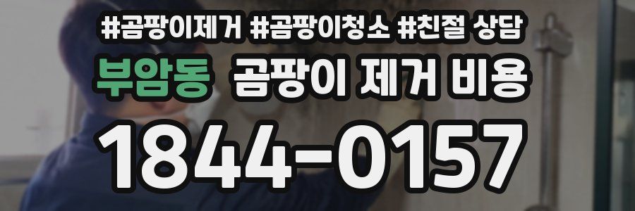 부암동 곰팡이 제거 비용