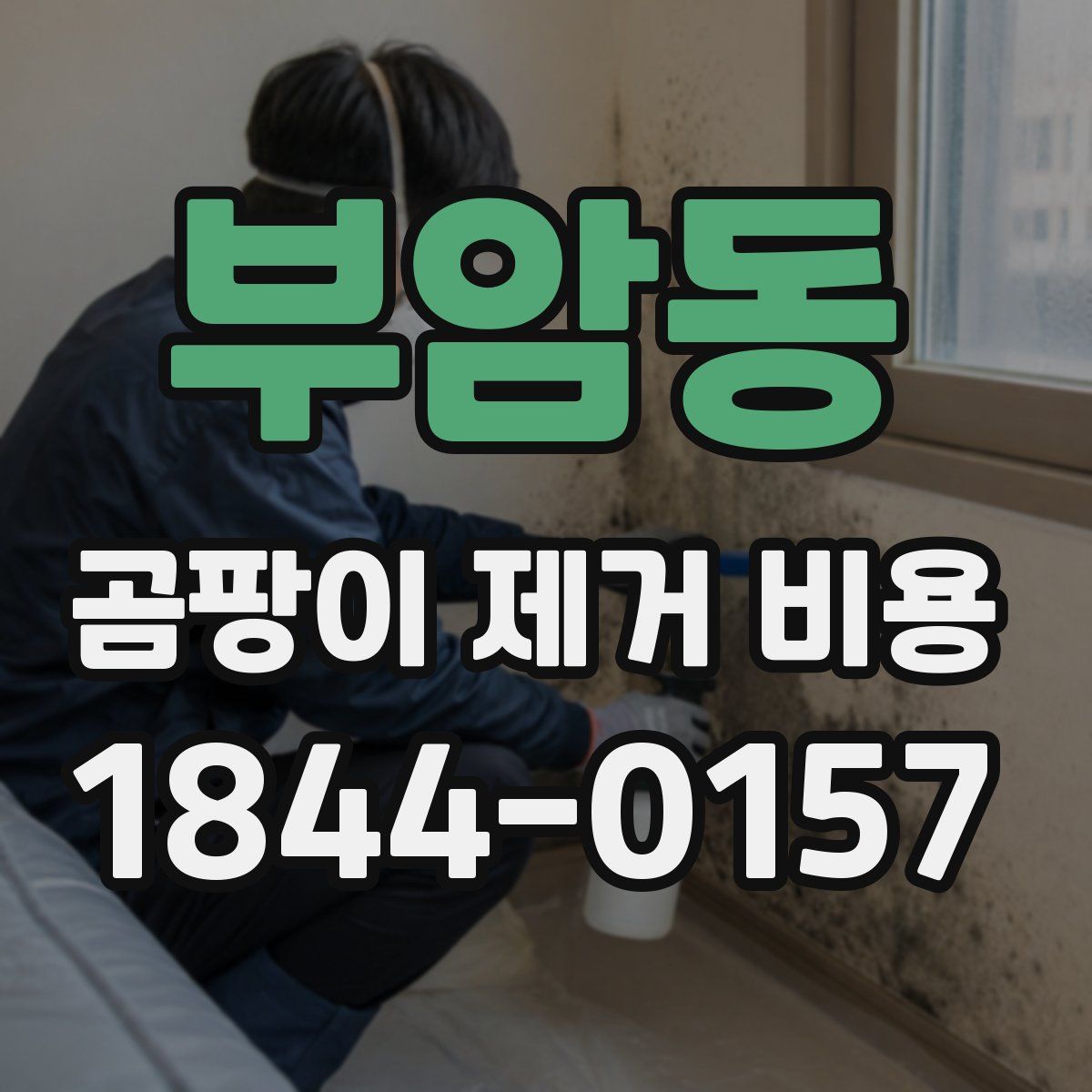 부암동 곰팡이 제거 비용