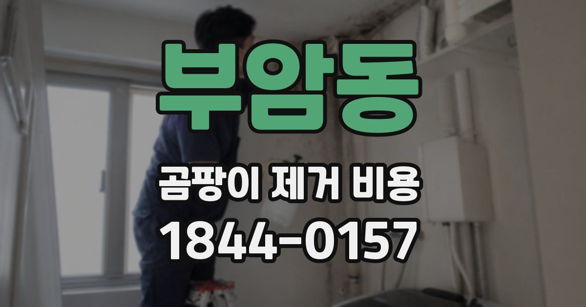 부암동 곰팡이 제거 비용