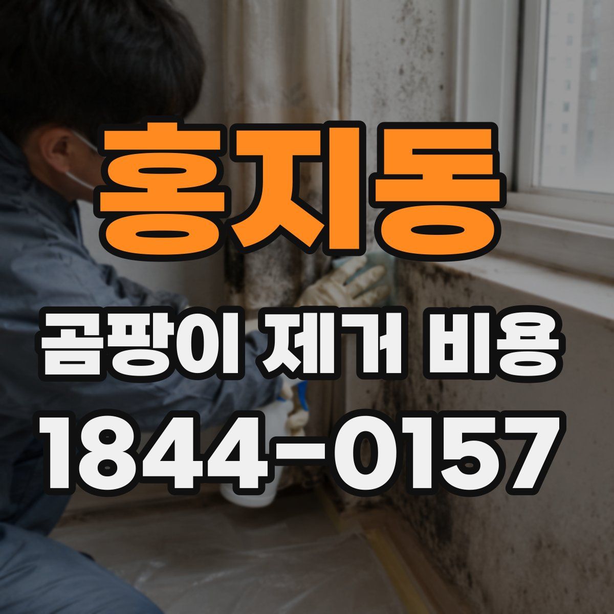 홍지동 곰팡이 제거 비용