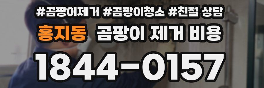 홍지동 곰팡이 제거 비용