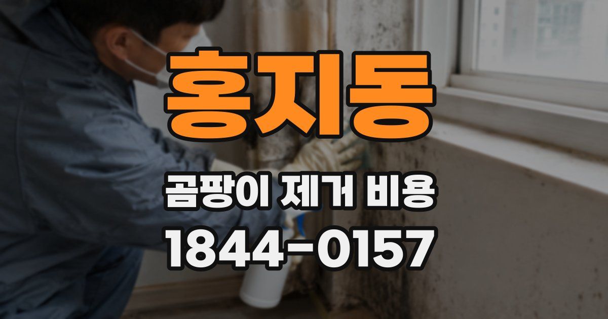 홍지동 곰팡이 제거 비용