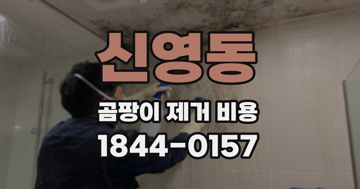 신영동 곰팡이 제거 비용