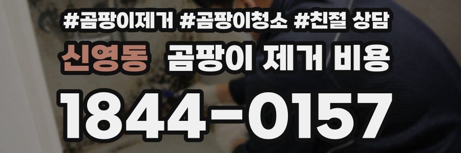 신영동 곰팡이 제거 비용