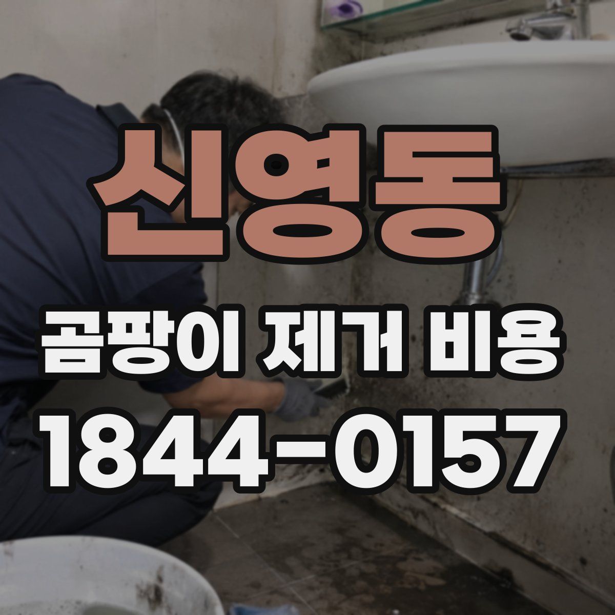 신영동 곰팡이 제거 비용